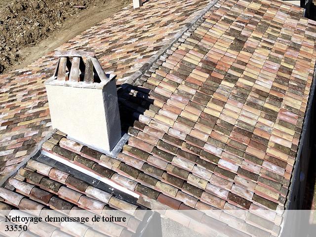 Nettoyage demoussage de toiture  33550