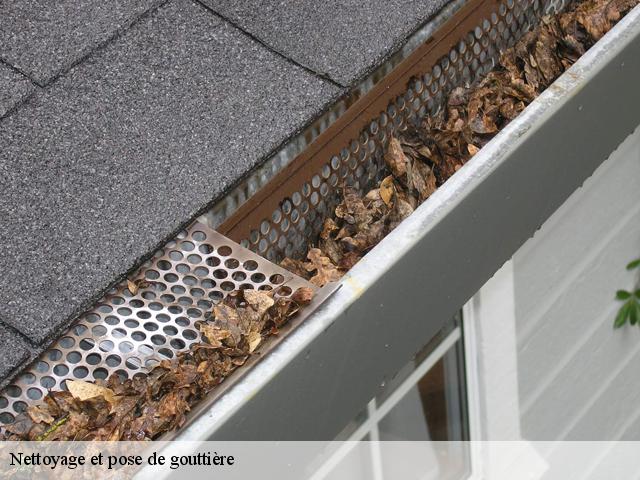 Nettoyage et pose de gouttière