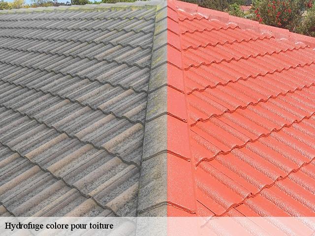 Hydrofuge colore pour toiture