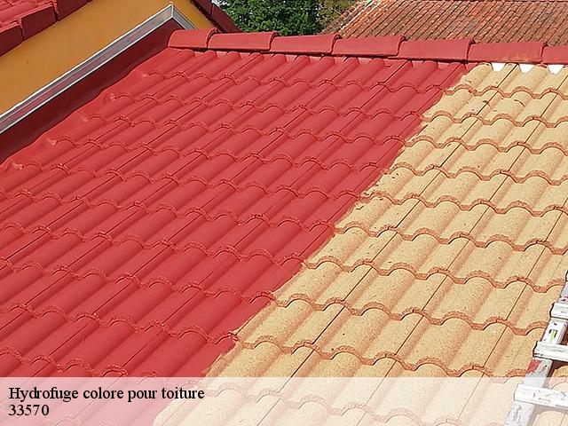 Hydrofuge colore pour toiture  33570